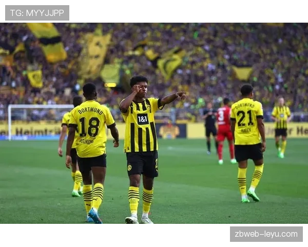 德甲球队阵容大调整，主力球员变动引热议，竞争力显著提升